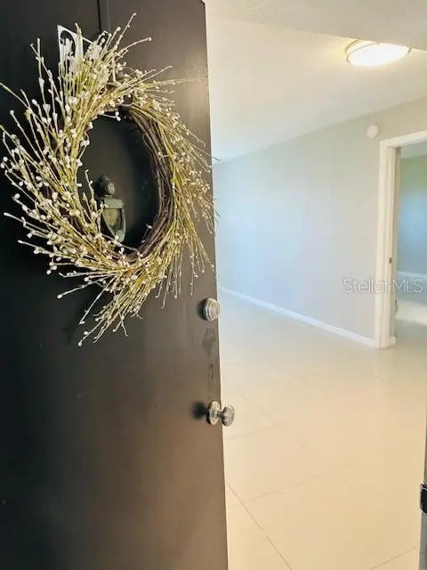 801 Russell Lane #252, Brandon, FL 33510 - Image #3