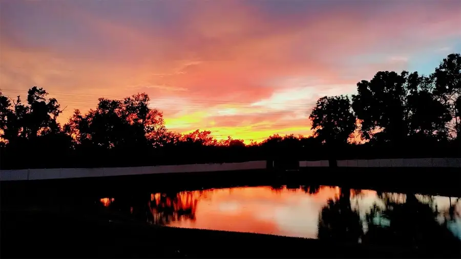 921 Fennel Seed Way, Ruskin, FL 33570 - Image #3