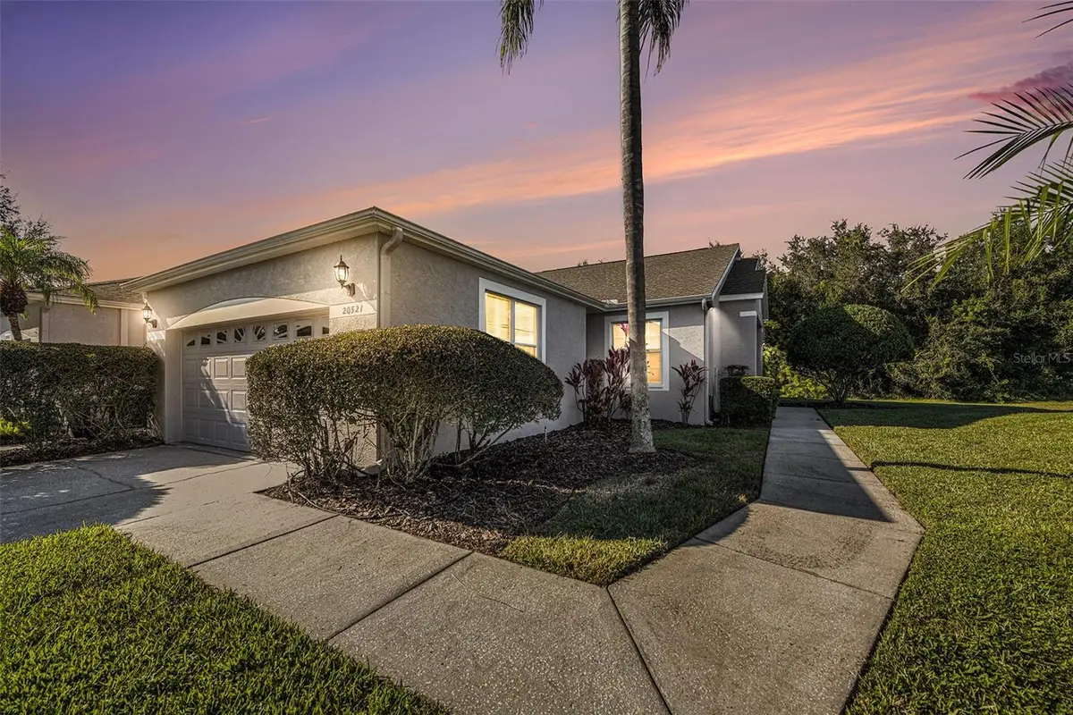 20521 Homossasa Court, Land O Lakes, FL 34637 - Image #1