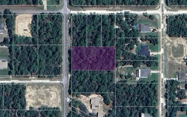 16072 Mount Sparrow Road, WEEKI WACHEE, FL 34614