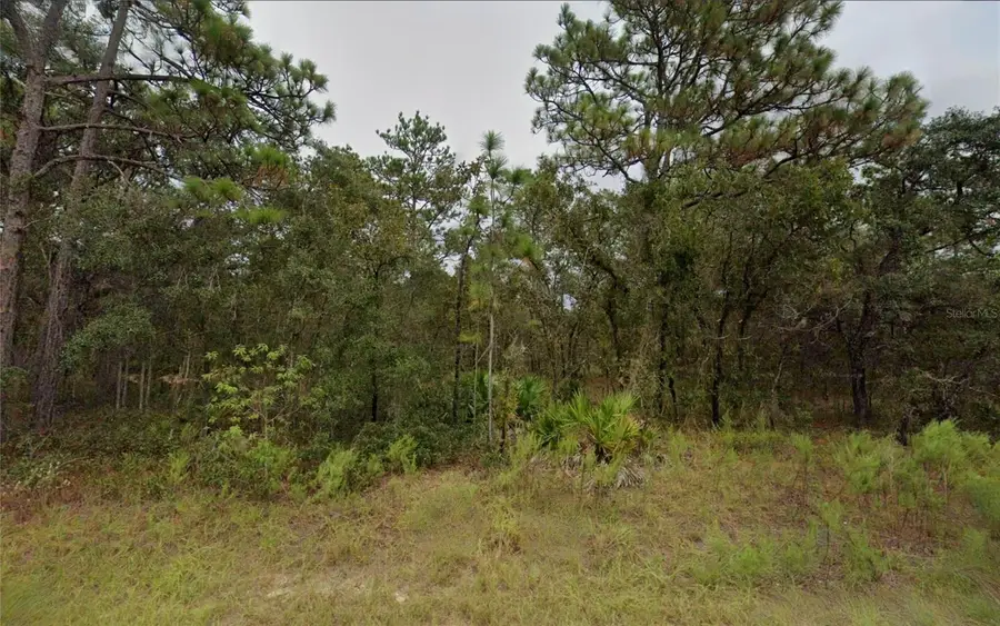 16072 Mount Sparrow Road, Weeki Wachee, FL 34614 - Image #2