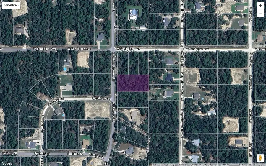 16072 Mount Sparrow Road, Weeki Wachee, FL 34614 - Image #3
