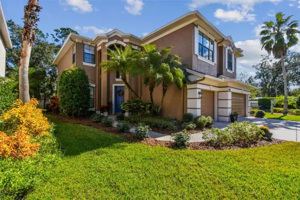 15613 N Himes Avenue, TAMPA, FL 33618