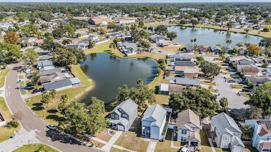 11017 Springridge Drive, Tampa, FL 33624 - Image #3