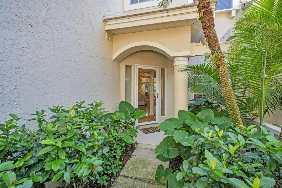 306 Fan Palm Court Ne, Saint Petersburg, FL 33703 - Image #3