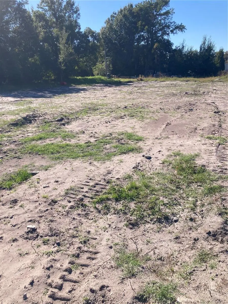 6277 Tower Road, Land O Lakes, FL 34638 - Image #2