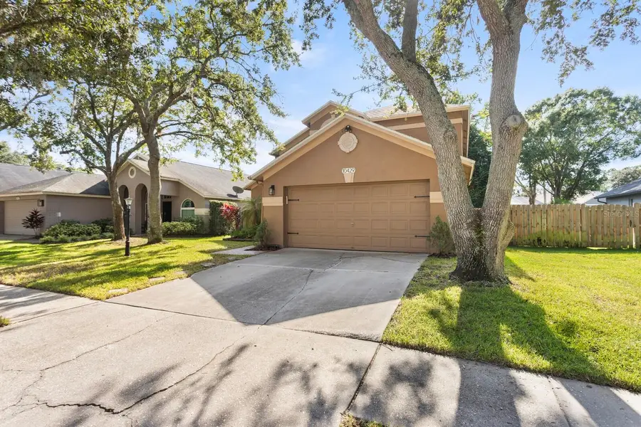 10429 Springrose Drive, Tampa, FL 33626 - Image #3