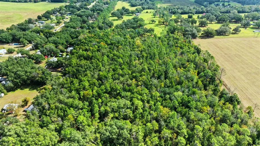 Shenna Lane, Zephyrhills, FL 33540 - Image #3