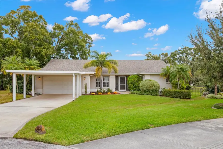 3418 E Lake Drive, Land O Lakes, FL 34639 - Image #3