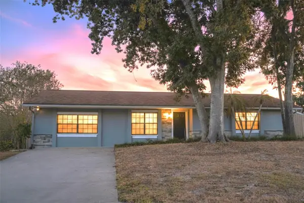 11213 Creekview Drive, RIVERVIEW, FL 33569