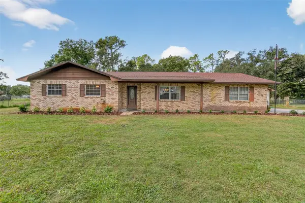 1113 S Wiggins, PLANT CITY, FL 33566