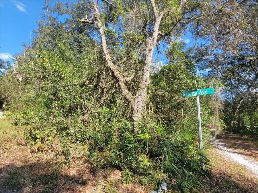 Watt Street, Webster, FL 33597 - Image #3