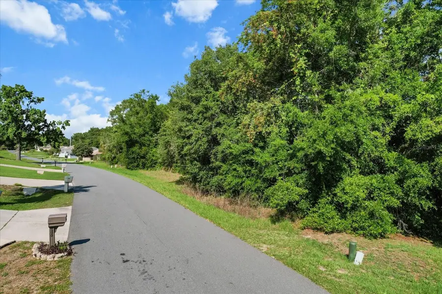 911 W Colbert Court, Beverly Hills, FL 34465 - Image #3