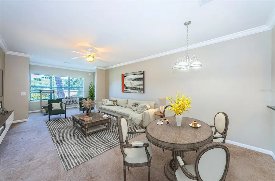 2254 Chianti Place #66, Palm Harbor, FL 34683 - Image #2