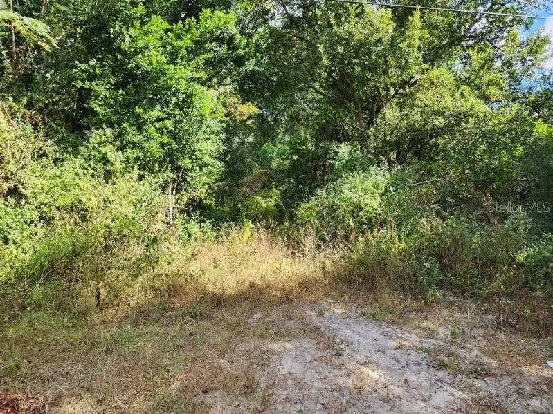 11911 Leroy Sheppard Road, Thonotosassa, FL 33592 - Image #3