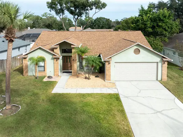3603 Treeline Drive, VALRICO, FL 33596