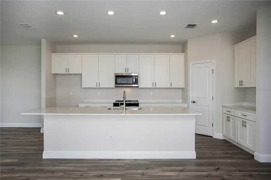 33457 Twilight Sea Place, Wesley Chapel, FL 33545 - Image #2