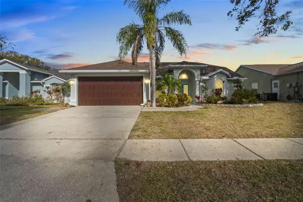 731 Brittany Park Boulevard, TARPON SPRINGS, FL 34689