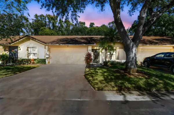 4009 Shoreside Circle, TAMPA, FL 33624