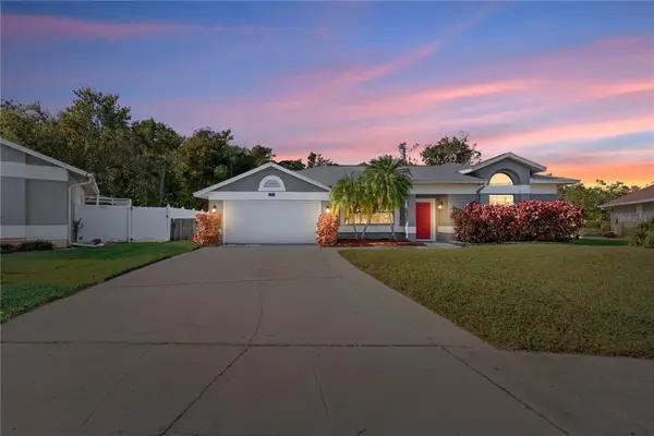 11406 Palm Pasture Drive, TAMPA, FL 33635