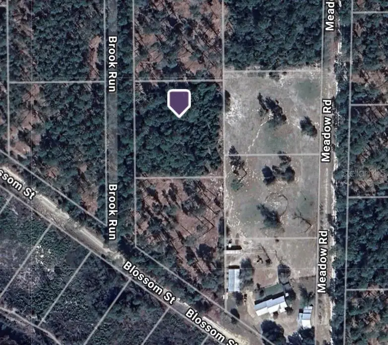 104 Brook Run, Florahome, FL 32140 - Image #1