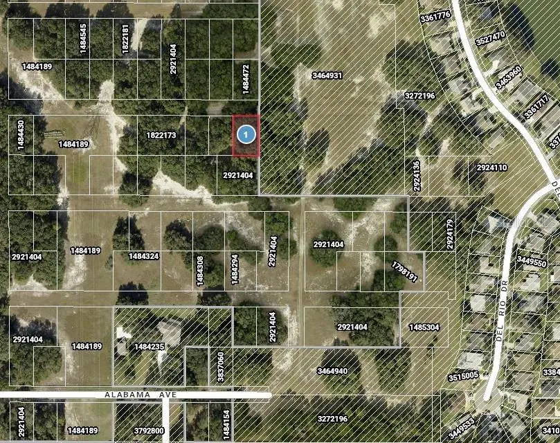 Del Mar Drive, Lady Lake, FL 32159 - Image #3