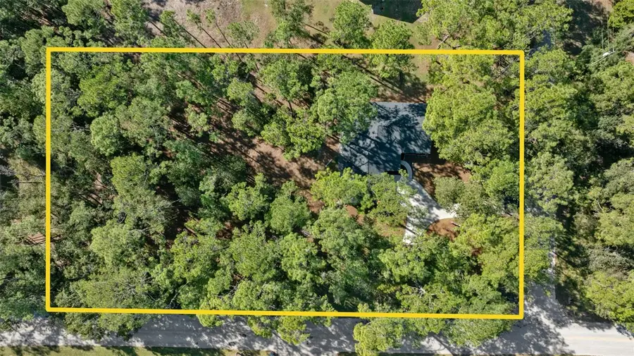 27944 Green Willow Run, Wesley Chapel, FL 33544 - Image #3