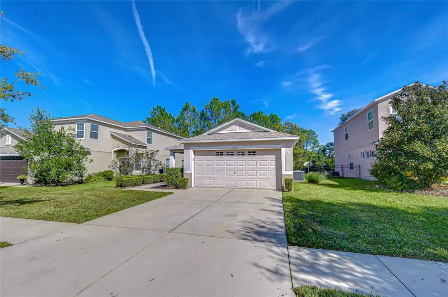 4246 Warwick Hills Drive, Wesley Chapel, FL 33543 - Image #3