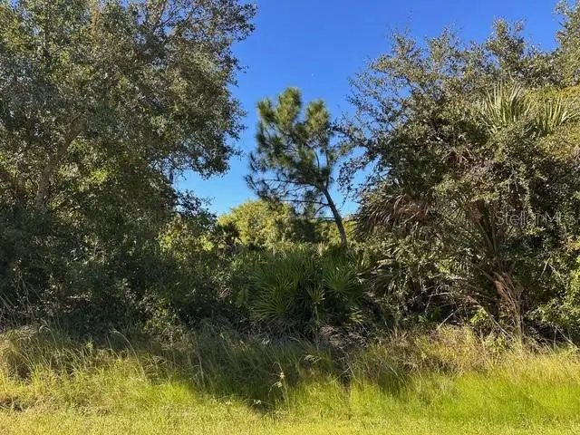 22059 Bancroft Avenue, Port Charlotte, FL 33954 - Image #3