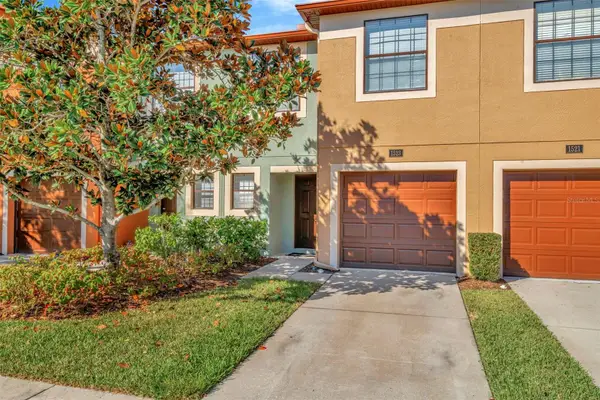 1523 Water Terrace Lane, BRANDON, FL 33511