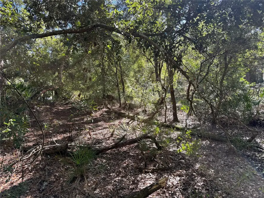 27975 Robin Roost Lane, Wesley Chapel, FL 33544 - Image #2