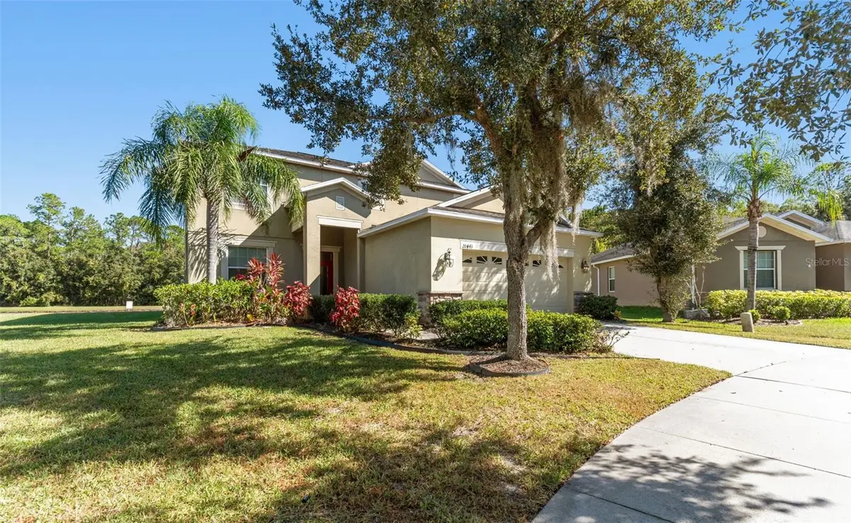 20443 Autumn Fern Avenue, Tampa, FL 33647 - Image #1
