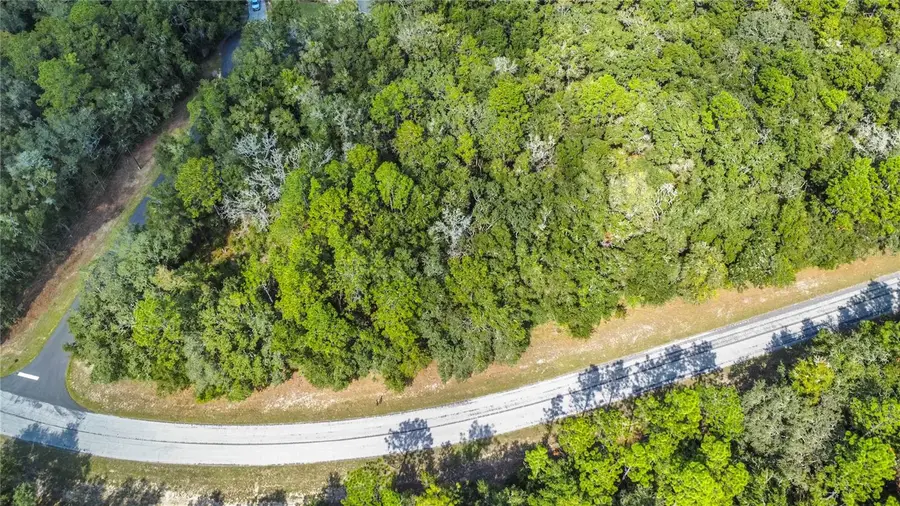 10227 N Athenia Drive, Citrus Springs, FL 34434 - Image #3