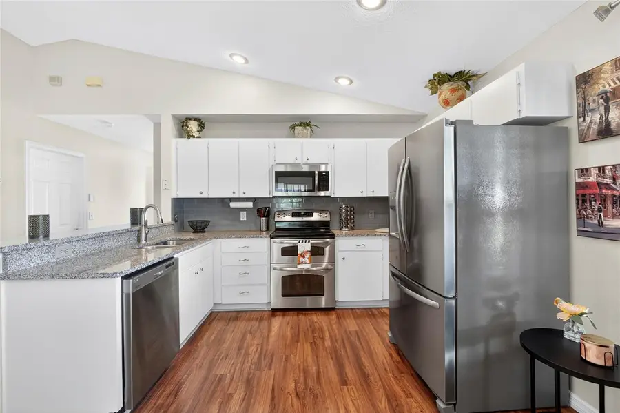 22234 Bell Harbor Drive, Land O Lakes, FL 34639 - Image #3