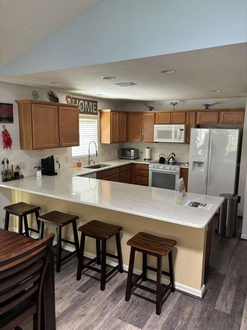 1067 Carver Court, The Villages, FL 32163 - Image #2