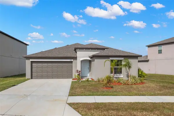 13641 Wild Ginger Street, RIVERVIEW, FL 33579