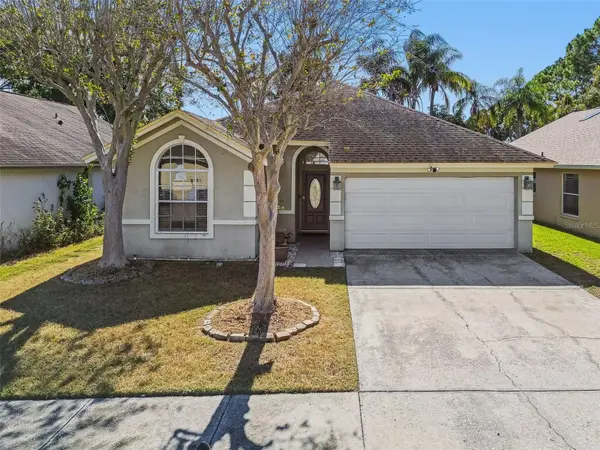 6906 Mirror Lake Avenue, TAMPA, FL 33634