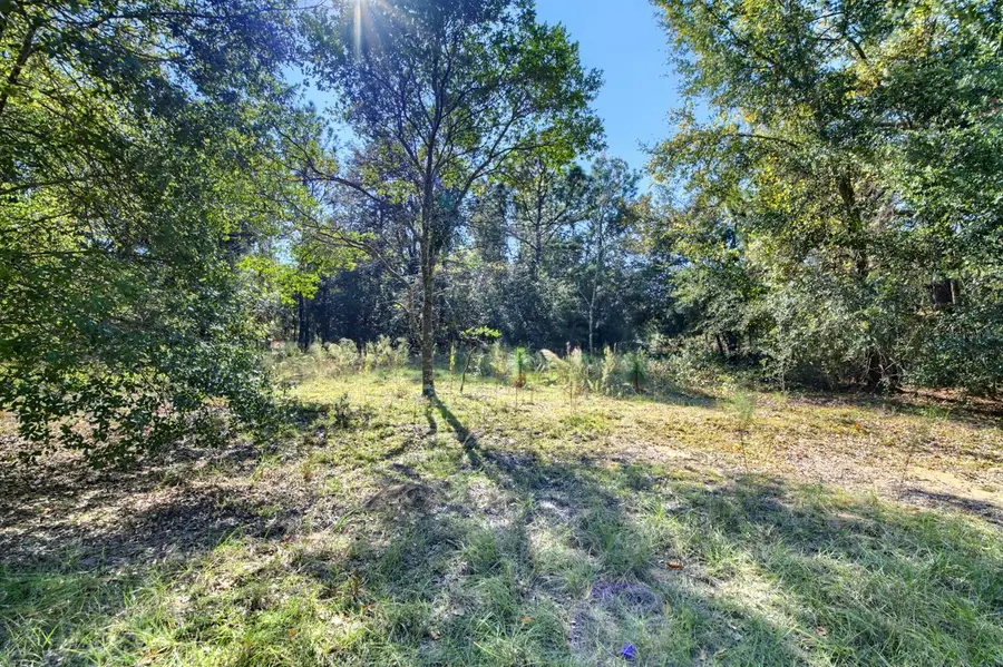 2215 Adams Street, Inverness, FL 34453 - Image #2