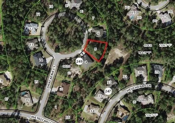 10 Dracaena Court, HOMOSASSA, FL 34446