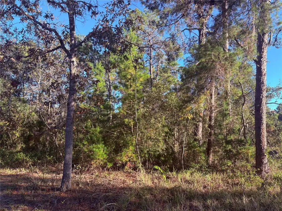 10 Dracaena Court, Homosassa, FL 34446 - Image #2