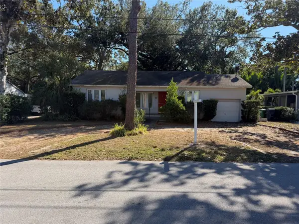 3120 W Coachman Avenue, TAMPA, FL 33611