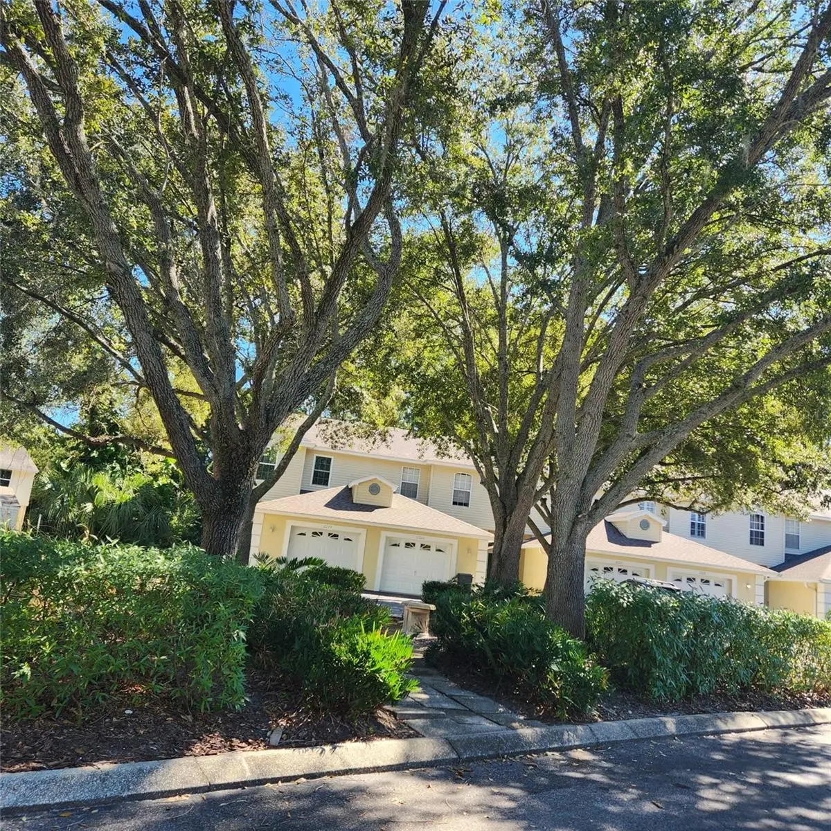 11241 Cedar Hollow Lane, Tampa, FL 33618 - Image #1