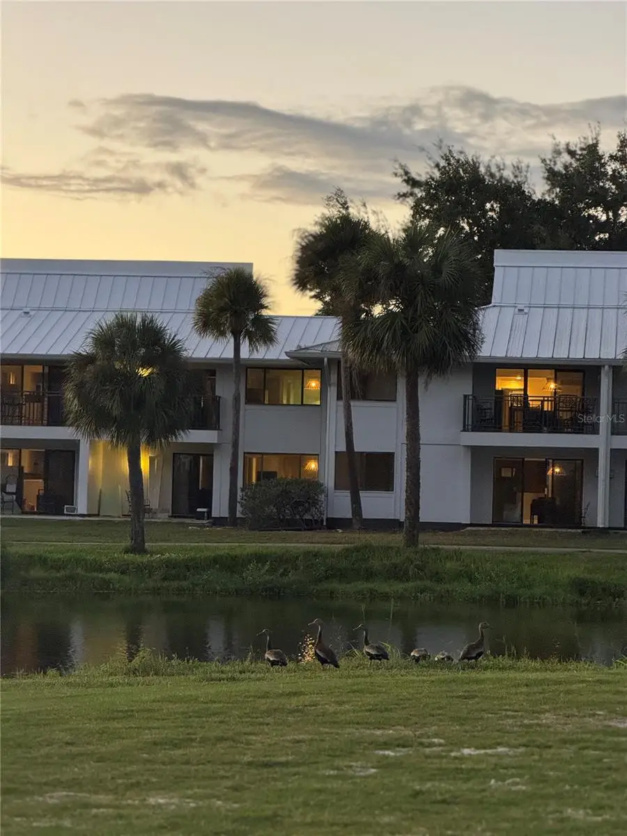 4782 Fox Hunt Drive #D616, Wesley Chapel, FL 33543 - Image #1