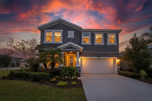 7402 Futura Place, APOLLO BEACH, FL 33572