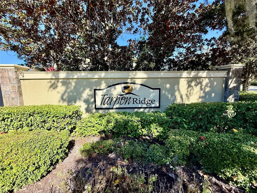 2524 Tranquility Drive, Palm Harbor, FL 34684 - Image #3