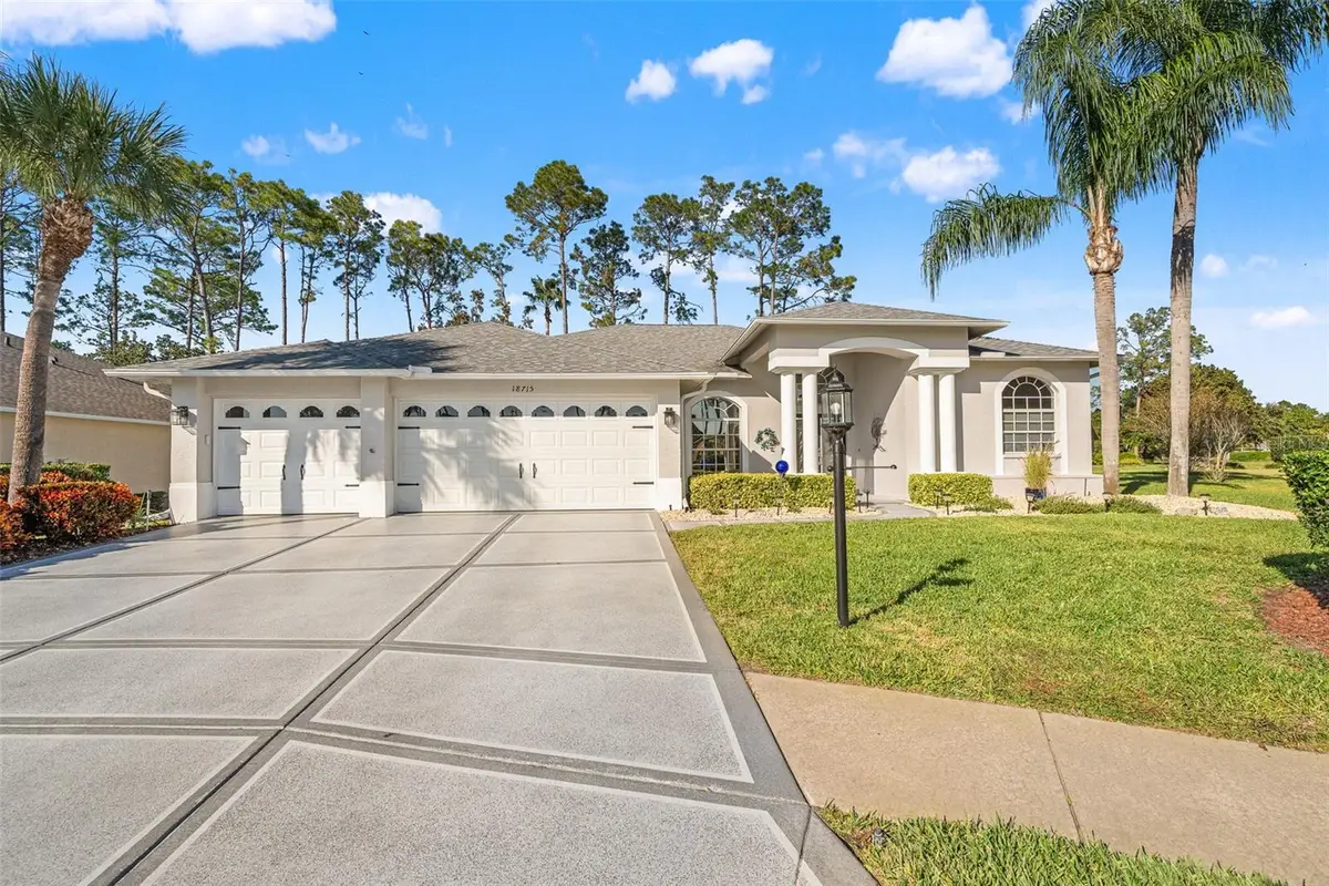 18715 Dove Hollow Court, Hudson, FL 34667 - Image #1