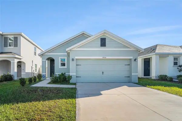 17056 Oval Rum Drive, WIMAUMA, FL 33598