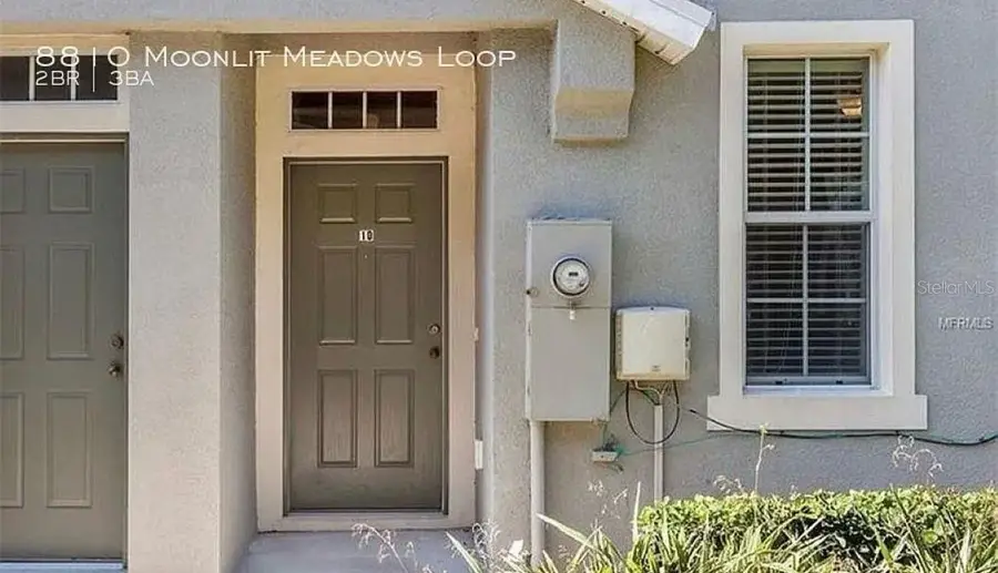 8810 Moonlit Meadows Loop, Riverview, FL 33578 - Image #2