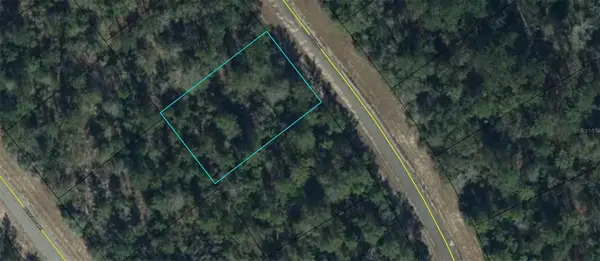 TBD Bonita Drive, CHIPLEY, FL 32428