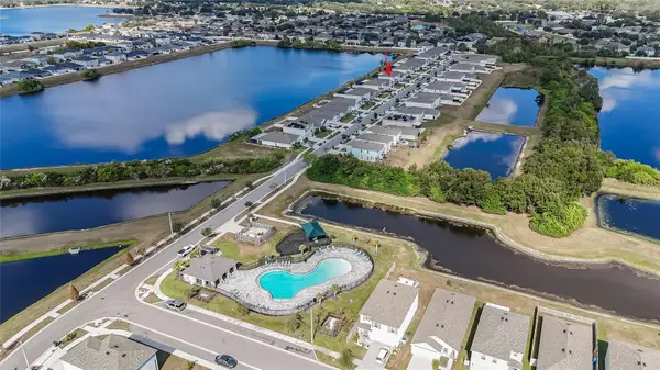 11889 Downy Birch Drive, RIVERVIEW, FL 33569